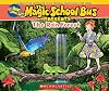 The Magic School Bus Presents: The Rainforest: A Nonfiction Companion to the Original Magic School Bus Series