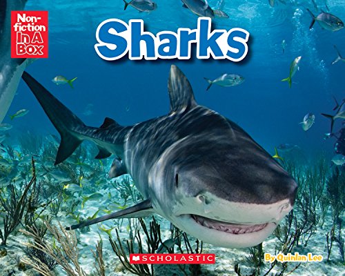 Cover of Sharks in a Box