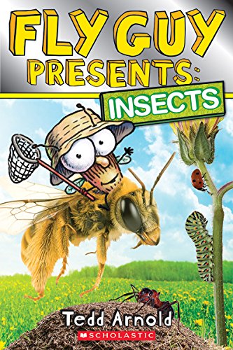Insects book cover