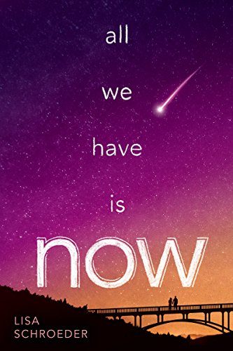 Cover of All we have is now