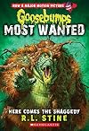 Here Comes the Shaggedy (Goosebumps Most Wanted #9) (9)