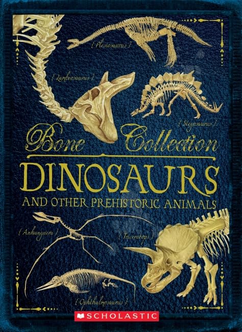 Cover of Bone Collection