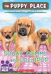 Sugar, Gummi and Lollipop
