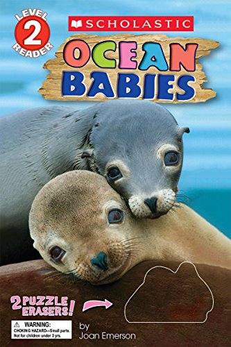 Cover of Ocean Babies with Erasers