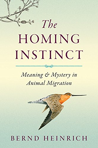 The Homing Instinct book cover