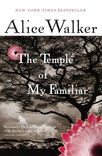 The Temple of My Familiar book cover
