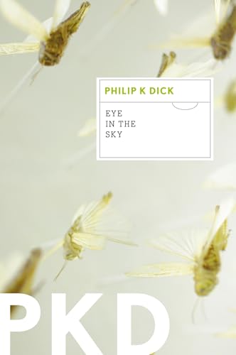 Eye in the Sky book cover