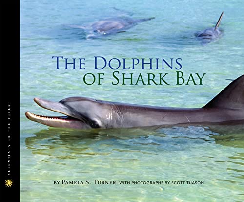 The Dolphins of Shark Bay book cover