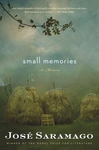 Small Memories book cover