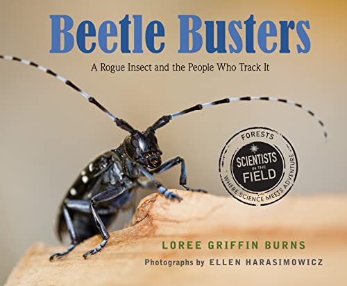 Beetle Busters (By: Loree Griffin Burns) cover