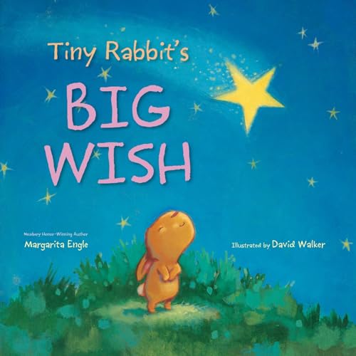 Tiny Rabbit's Big Wish book cover