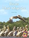Birds that Migrate (Rigby PM Stars)