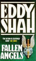 Fallen Angels book cover