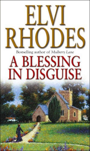 A Blessing in Disguise book cover