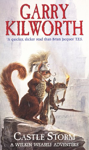 Castle Storm book cover