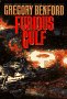 Cover of Furious Gulf