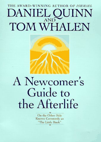 A Newcomer's Guide to the Afterlife book cover