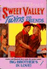 Big Brother's in Love! book cover