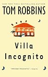 Villa Incognito