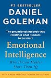 Emotional Intelligence Why It Can Matter More Than Iq