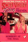 Robbery at the Mall book cover