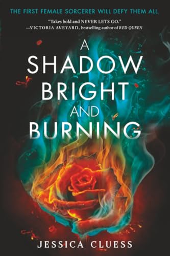 A Shadow Bright and Burning book cover