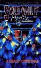 A Deadly Christmas book cover