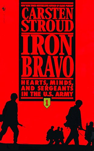 Iron Bravo book cover