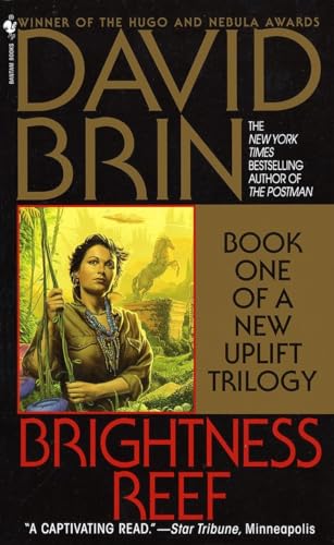 Brightness Reef book cover