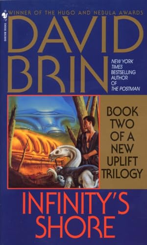 Infinity's Shore book cover