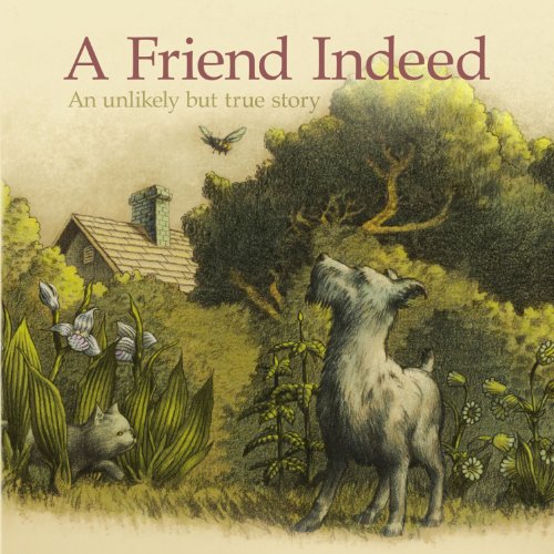 Cover of Friend Indeed