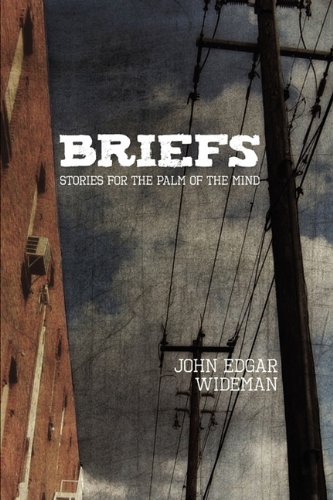 Briefs book cover