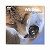 Wildlife Photographer of the Year: Portfolio 16