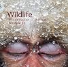 Wildlife Photographer of the Year: Portfolio 22