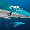 Wildlife Photographer of the Year: Portfolio 24