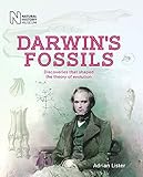 Darwins Fossils Discoveries That Shaped The Theory Of Evolution