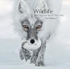 Wildlife Photographer of the Year: Portfolio 27