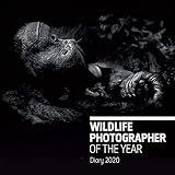 Wildlife Photographer Of The Year 2020 Diary