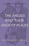 Angels Keep Their Ancient Places: Reflections on Celtic Spirituality