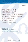 'What Does the Scripture Say?' Studies in the Function of Scripture in Early Judaism and Christianity, Volume 1: Volume 1: The Synoptic Gospels (The Library of New Testament Studies)