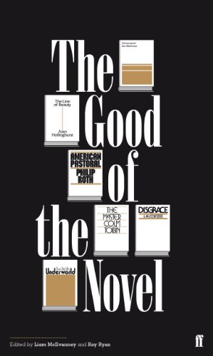 The Good of the Novel cover