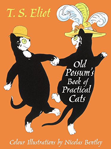 Cover of Illustrated Old Possum