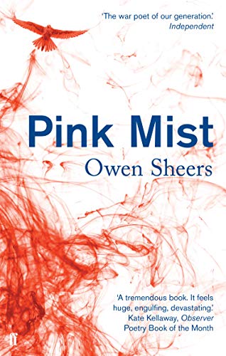 Pink Mist book cover