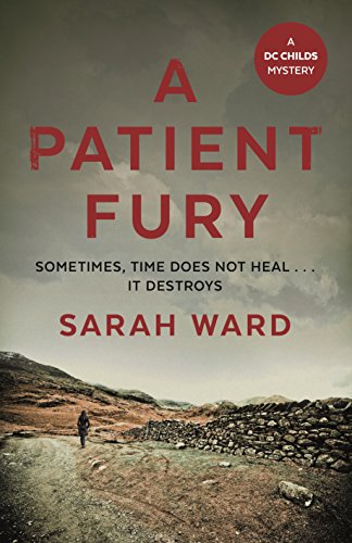 A Patient Fury book cover