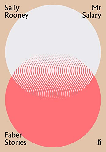 Mr Salary book cover