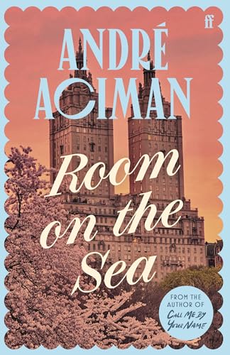 Room on the Sea book cover