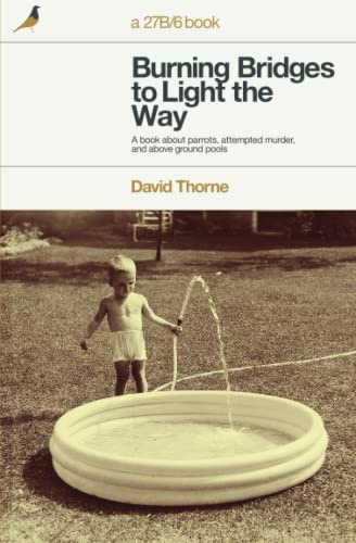 Burning Bridges to Light the Way book cover