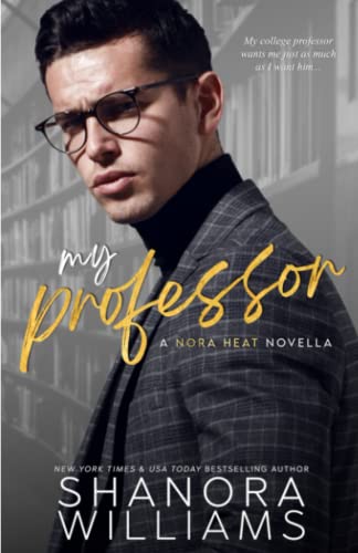 My Professor book cover