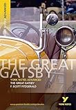 The Great Gatsby York Notes Advanced