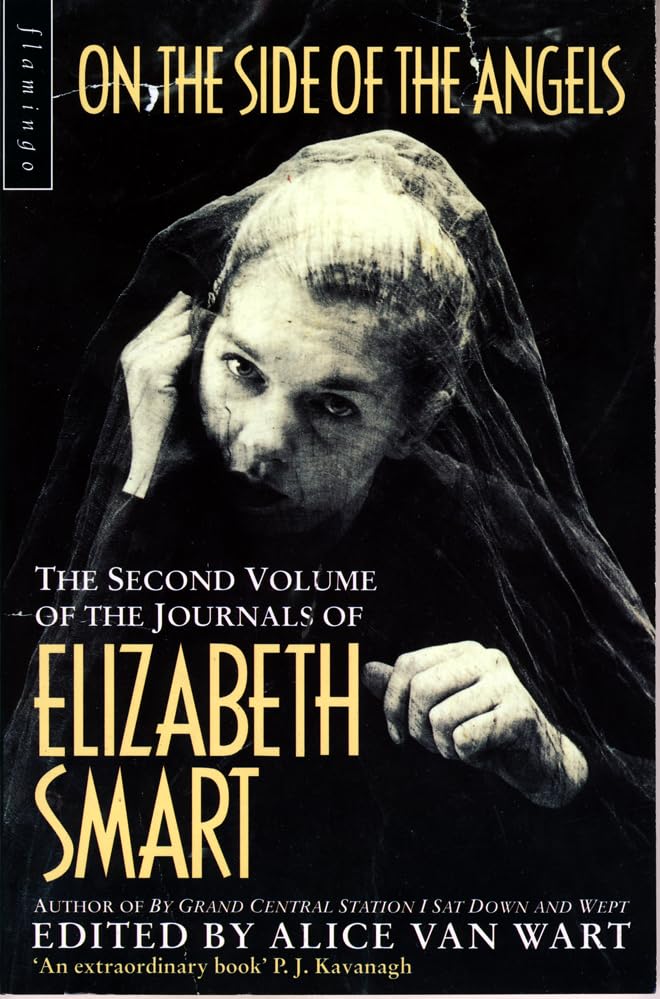 On the Side of the Angels book cover